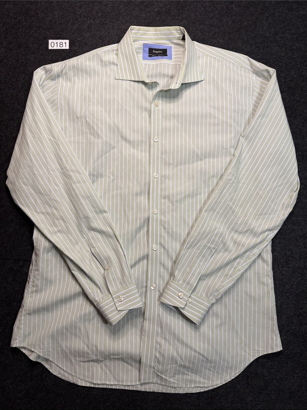 Men's Light Green Stripe Button-Down Dress Shirt